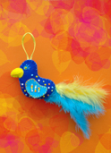 Krazy kids: Birdy de vogel pakket