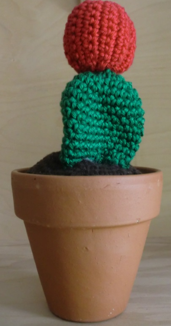 Cactus hard groen met rode bloembol kant en klaar - Klik op de afbeelding om het venster te sluiten