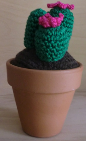 Cactus hardgroen met twee roze bloemetjes.kant en klaar - Klik op de afbeelding om het venster te sluiten