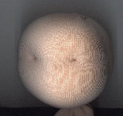 Hoofdje 20 cm met neusje - Klik op de afbeelding om het venster te sluiten