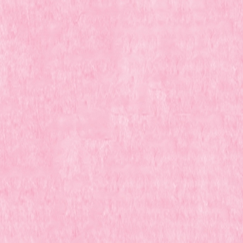 Nickey Velours roze 65x50 (9) Nickey Velours roze 65x50 (9)