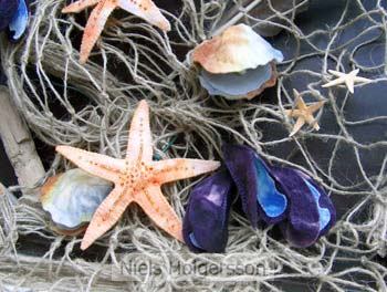 Zomerslinger met mosselen,oesters en zeesterren patroonblad - Klik op de afbeelding om het venster te sluiten